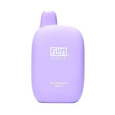 FLUM PEBBLE DISP 6000 PUFFS 10CT - BLUEBERRY MINT