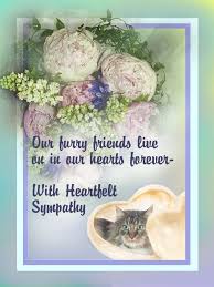 Anita I M So Sorry For Loss Of Malibu You Ll Meet Again Across The Rainbow Bridge Pet Condolences Pet Sympathy Sorry For Your Loss