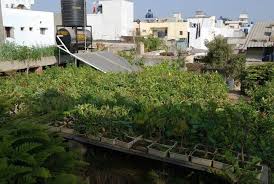 pin on house i grew up in bangalore india