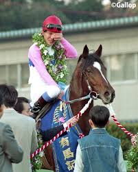 データファイル gⅰレース出走馬決定順 レース成績データ 特別レース名解説 騎手・調教師データ リーディング情報 枠 馬番 馬名 戦績 / 総賞金 馬主名 / 調教師名 / 血統 性齢/毛色 負担重量 騎手名 前走 前々走 3走前 4走前 1 M4d9qyb17vssgm