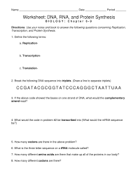 It serves as the genetic template of a protein since. Worksheet Dna Rna And Protein Synthesis