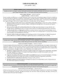 We have published hundreds of resumes over the last 15+ years. Executive Resume Samples Professional Resume Samples
