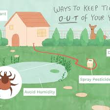 Eggs are laid on the animal, but they aren't sticky and fall treating yards may not even be needed in mild to moderate infestations. How To Control Ticks In Your Yard