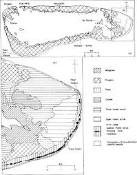 Image result for Sclerodactylon macrostachyum