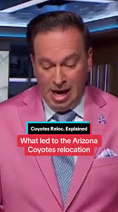 Friedman says the uncertainty around the Coyotes bidding for land to build  a new arena led to the team relocating.