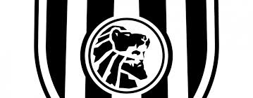 1.08 gemiddeld aantal tegen per wedstrijd: Heracles Almelo Verkoopt Recordaantal Seizoenskaarten Uit In Almelo