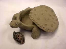 Oogly A Box Turtle That S Really A Box Clay Turtle Clay Projects For Kids Easy Clay Sculptures