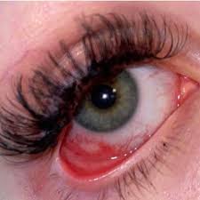 Thousandlashes In 2020 Bad Eyelash Extensions Falsies Eyelashes Natural Eyelash Extensions