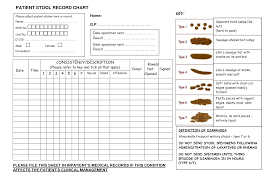 Patient Stool Record Chart Stool Chart Emergency Binder