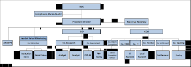 Organisation Chart Aami Ashmore Group