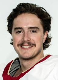 Player photos for the 2020-21 Green Bay Gamblers at hockeydb.com