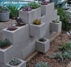 Cinder blocks are usually combined with boards or wood to be turned into storage racks, bookshelves, or plant stands. Succulents Thriving In Cinderblock Wall Planter Digging Cinder Block Garden Cinderblock Planter Cinder Block Garden Wall