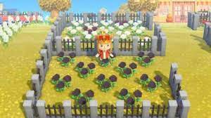 Animal Crossing New Horizons Golden Roses How To Grow Selling Price Acnh Animal Crossing Golden Rose Black Flowers
