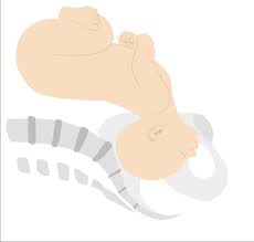 Image result for Face Presentation