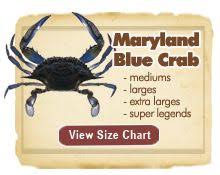 31 best blue crab images crab art crab painting blue