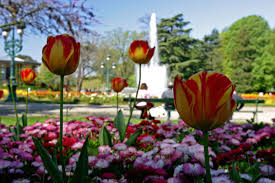 jardin du grand rond appele aussi boulingrin bowling green en referebce aux pelouses sur lesquelles les toulou ville de toulouse ville verte grande allee