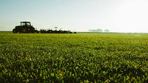 We did not find results for: Woerner Turf Sod Farms Florida Alabama And Louisiana S Leading Turf Supplier
