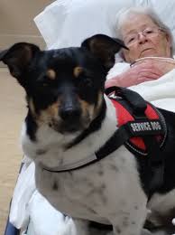 Carol Bishop Obituary March 11, 2024