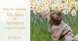 Maybe you would like to learn more about one of these? Baby Sign Language Asl Signs For Spring Tiny Signs