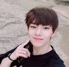 pin by effy on stray kids stray kids pictures kids