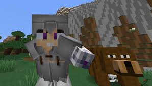 Lado y junto a los amigos que me acompañan día a día haciendo vídeos. Vegetta777 Pagina Oficial En Unos Minutitos Planeta Vegetta Y Esta Vez Atraparemos Osos Con Trampas Pero Tambien Nos Mordera El Hombre Lobo Facebook