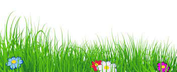 Grass Transparent Clipart