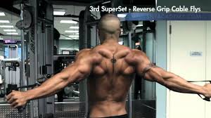 Check spelling or type a new query. Rhomboids Deltoids Shoulders Reverse Grip Cable Flys Youtube