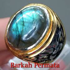 Contohnya batu akik bertuah pengasihan adalah batu mustika bunga kantil, batu kecubung, batu aura cinta, batu combong, batu puter giling, dan lain sebagainya. Batu Cincin Akik Laboradorite Sinar Biru Asli N 1458 Terbaru Agustus 2021 Harga Murah Kualitas Terjamin Blibli