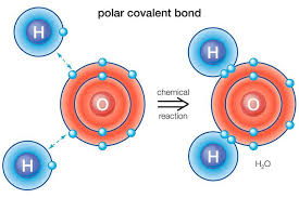 Definition And Examples Of A Polar Bond In Chemistry Covalent Bonding Chemistry Chemical Bond