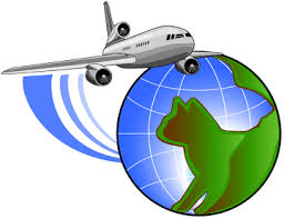 If your pet can't travel in the cabin with you, you can use petsafe to transport them to nearly 300. Pet Transport And Moving Services Airvets