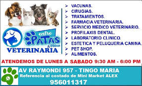 Veterinaria y Peluquería Canina Entre Patas y Pelos