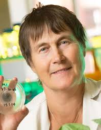 Newsletter of the Mycological Society of America