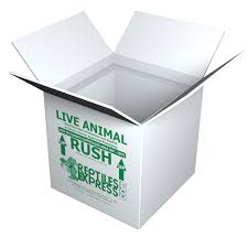 Fedex express saver delivers packages by 4:30 p.m. 7x7x7 Insulated Reptile Shipping Box With 3 4 Foam Reptiles Express Discounted Fedex Shipping Labels And Reptile Shipping Supplies