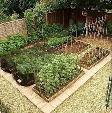 Pin Oleh Bintang Atha Di The Kitchen Garden Di 2020 Garden Bed Pertamanan Belakang Rumah Taman Modern