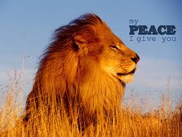 The lion and the lamb both refer to jesus christ ( yeshua ). Peace Christian Wallpapers