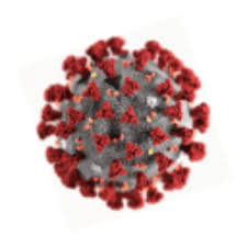 Coronavirus outbreak design with falling virus cell and typography letter on light background. Corona Virus Gif By Androidiani Find Share On Giphy