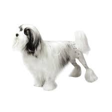 Even today, the breed generally has fewer than a few hundred new. Lowchen Purina