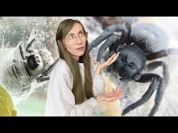 Check spelling or type a new query. Jumping Spider Vs Velvet Spider Chai And Wednesday Updates Youtube