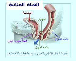 ا عيادة الدكتورة سوسن الحملي لعلاج العقم وأطفال الأنابيب facebook