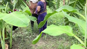 I See My Aunty Going Towards the Banana Plantation I Followed Her and  Hugged Her and Started Fucking Her in the Plantation