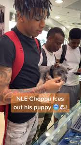 Nlechoppa Hashtag Videos On Tiktok Nle choppa is an actor and composer, known for nle choppa: nlechoppa hashtag videos on tiktok