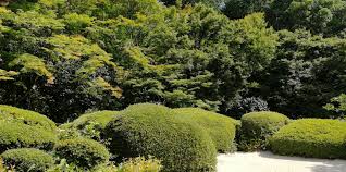 Последние твиты от acaね (ずっと真夜中でいいのに。) (@zutomayo). äº¬é½è©©ä»å  ãããã©ãã®é¿ãåº­å'ã¨é ãå®¶ã«ãã§ ã»ã¤ã«ããã¬ã© Playlife ãã¬ã¤ã©ã¤ã