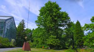 Since its opening in 1939 the abby aldrich rockefeller sculpture garden has been one of nyc s most beloved green spaces. Moderne Abstrakte Skulpturen Aus Metall Ausstellung Von Michael Ernst