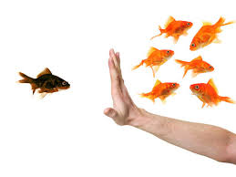 How can i prove a hostile work environment. 5 Ways To Recognize A Hostile Work Environment Los Angeles Employment Law