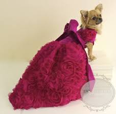 Peonya Dog Dress The Classy Dog Designer Dog Clothes Luxury Dog Beds Dog Dresses Luxury Dog Dog Clothes