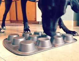 Muffin Tin Slow Feeder Diy Dog Stuff Dog Accessories Dog Bowls