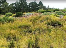 Gegründet, mit dessen beiträgen und spenden in der vergangenheit wichtige vorhaben realisiert wurden. Trfihi Parks Parks Botanischer Garten Der Universitat Wurzburg