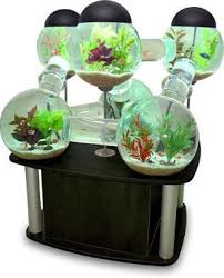 Labyrinth Aquarium This Very Innovative And Rare Aquarium Is Offered In Three Colors The Tables Are Produced In Cherry Black Or Ca With Images Cool Fish Tanks
