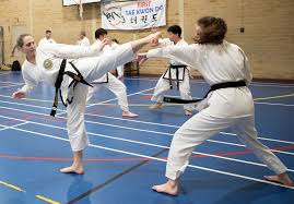 First Taekwondo Perth Taekwondo Martial Arts Girl Traditional Martial Arts
