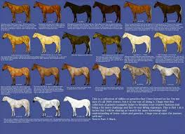 Guide On How To Paint Horses For Wargames Will Be Great For Napoleonics Found On Facebook Horse Coat Colors Horse Coloring Chestnut Color